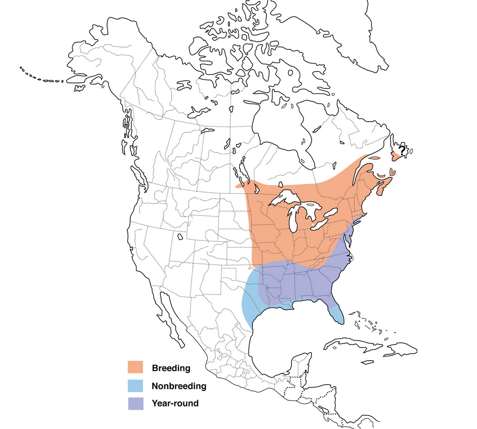 Adult American Woodcock migration and non-migration zones