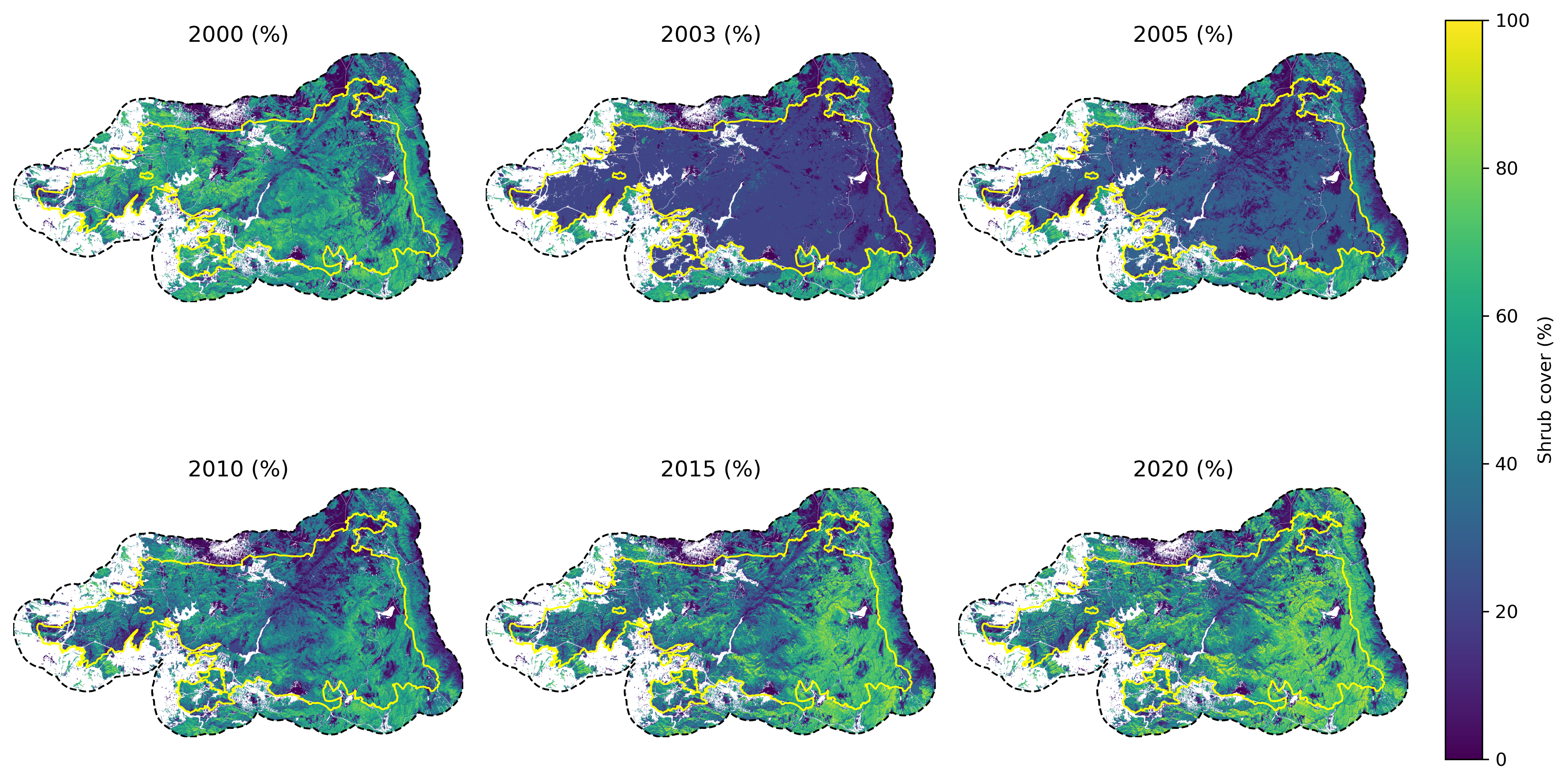 Cedar shrub with buffer