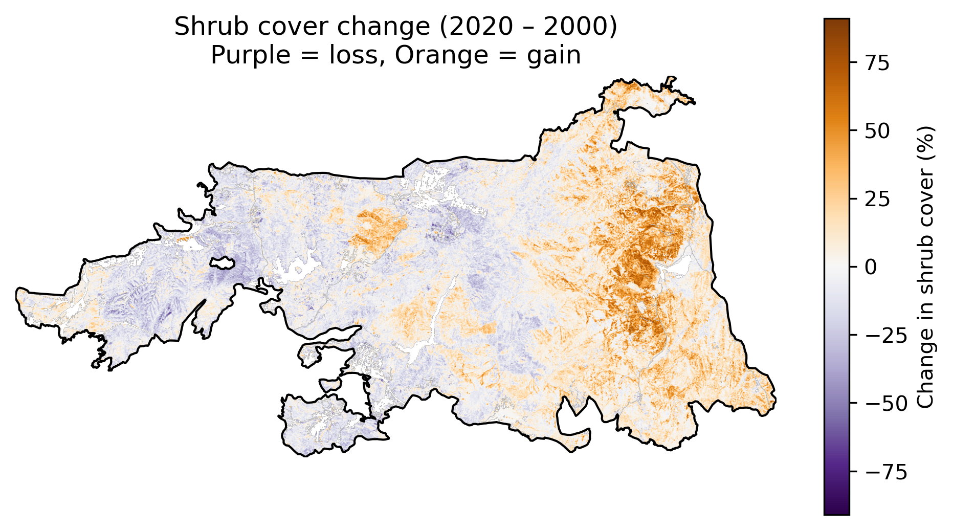 Cedar shrub difference