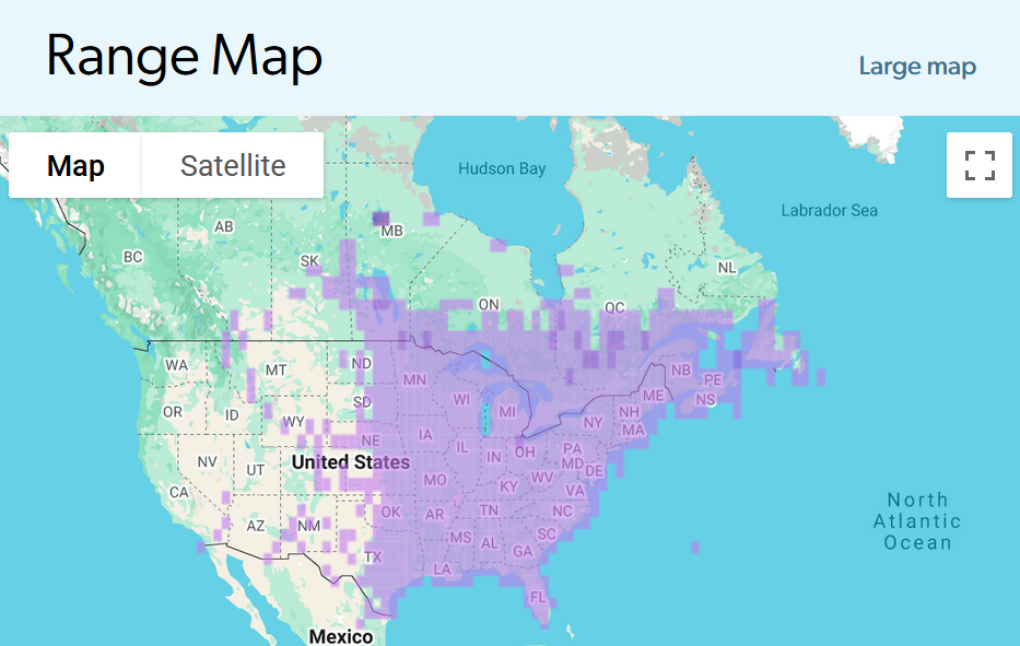 Range map of American Woodcock sightings from ebird